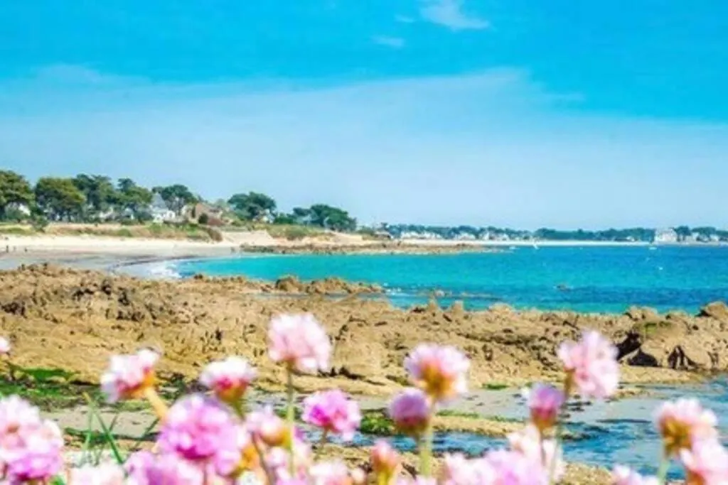 Appartement De Standing A 100M Des Plages Carnac Frankreich